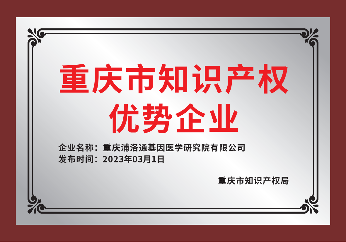 重庆市知识产权优势企业